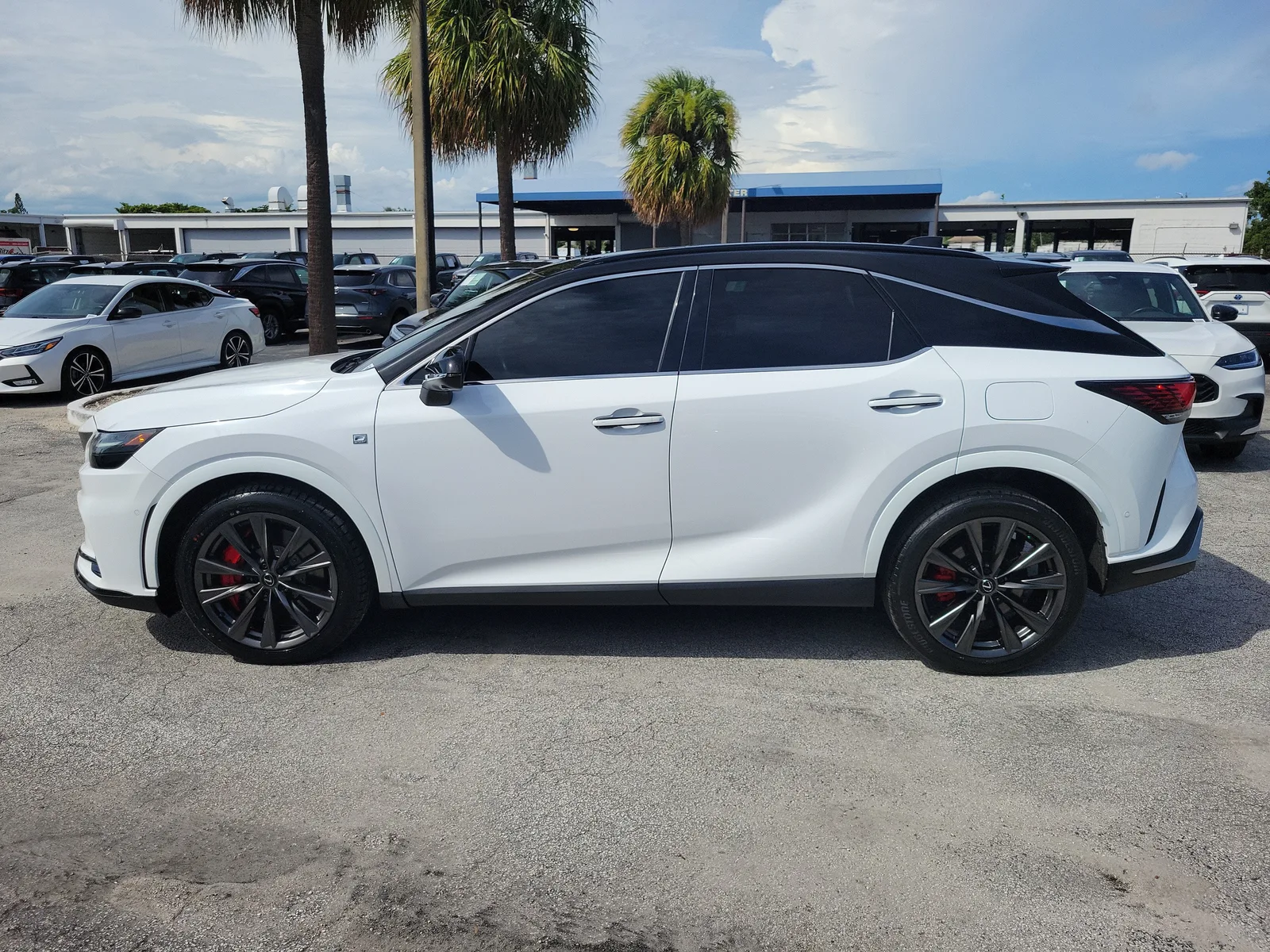2023 Lexus RX RX 350 photo 6