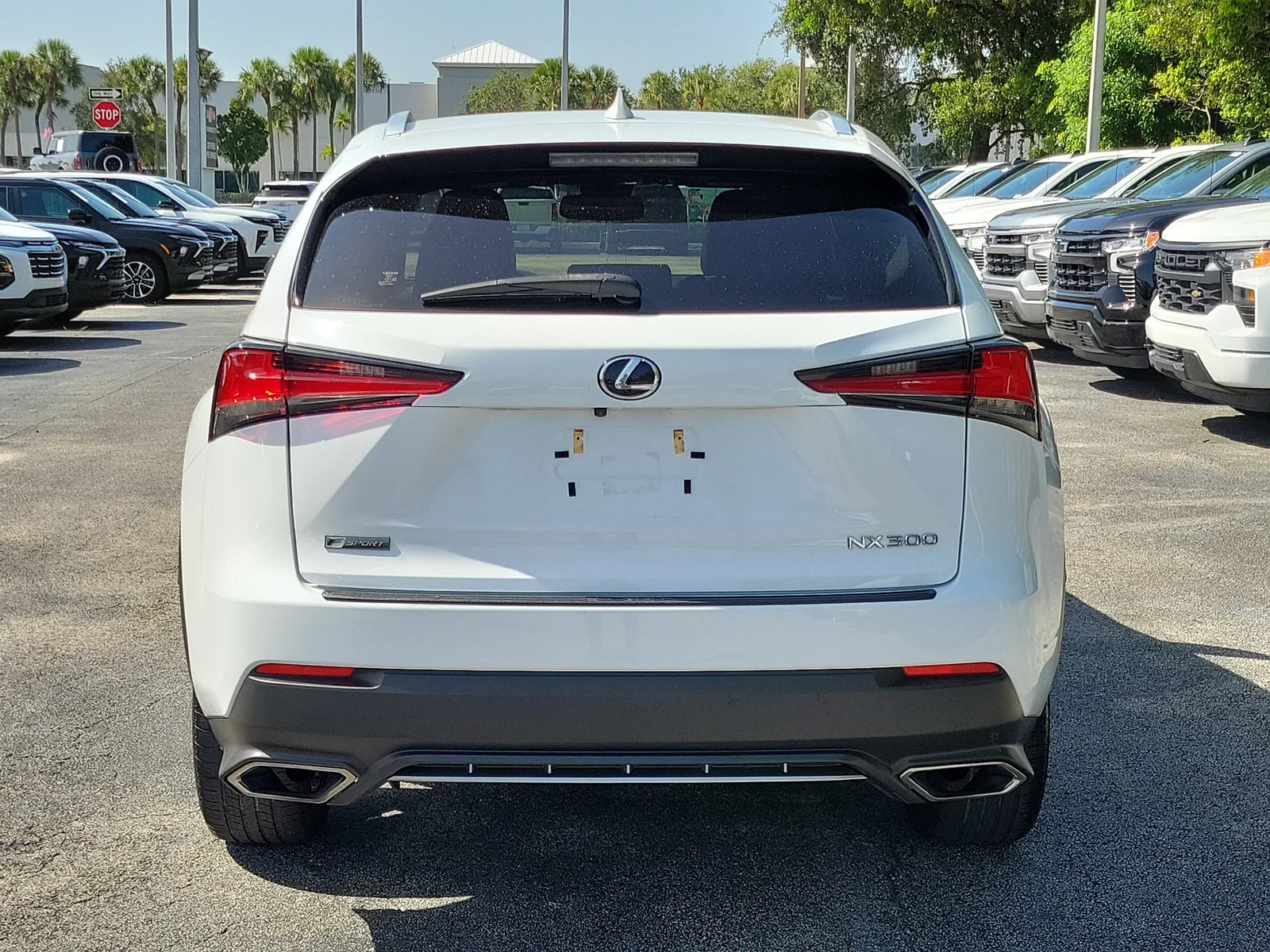 2021 Lexus NX NX 300 F SPORT photo 4