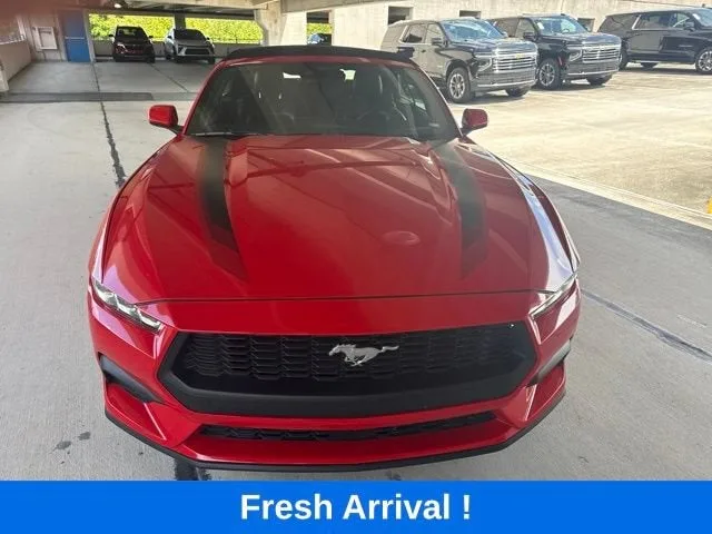 2024 Ford Mustang EcoBoost photo 16