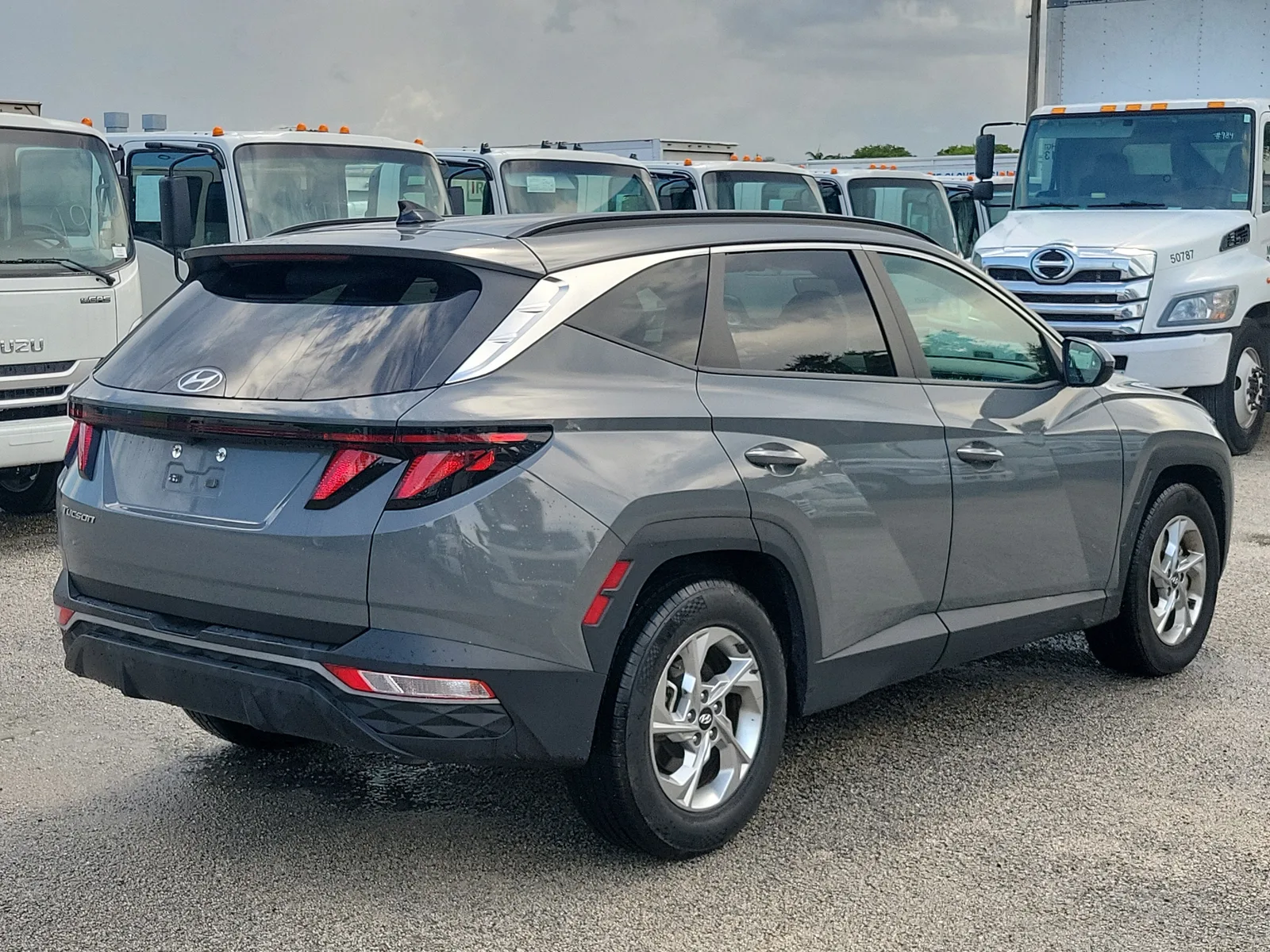 2024 Hyundai Tucson SEL photo 5