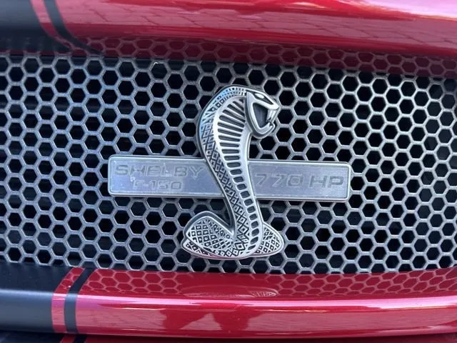 2020 Ford F-150 XL photo 10