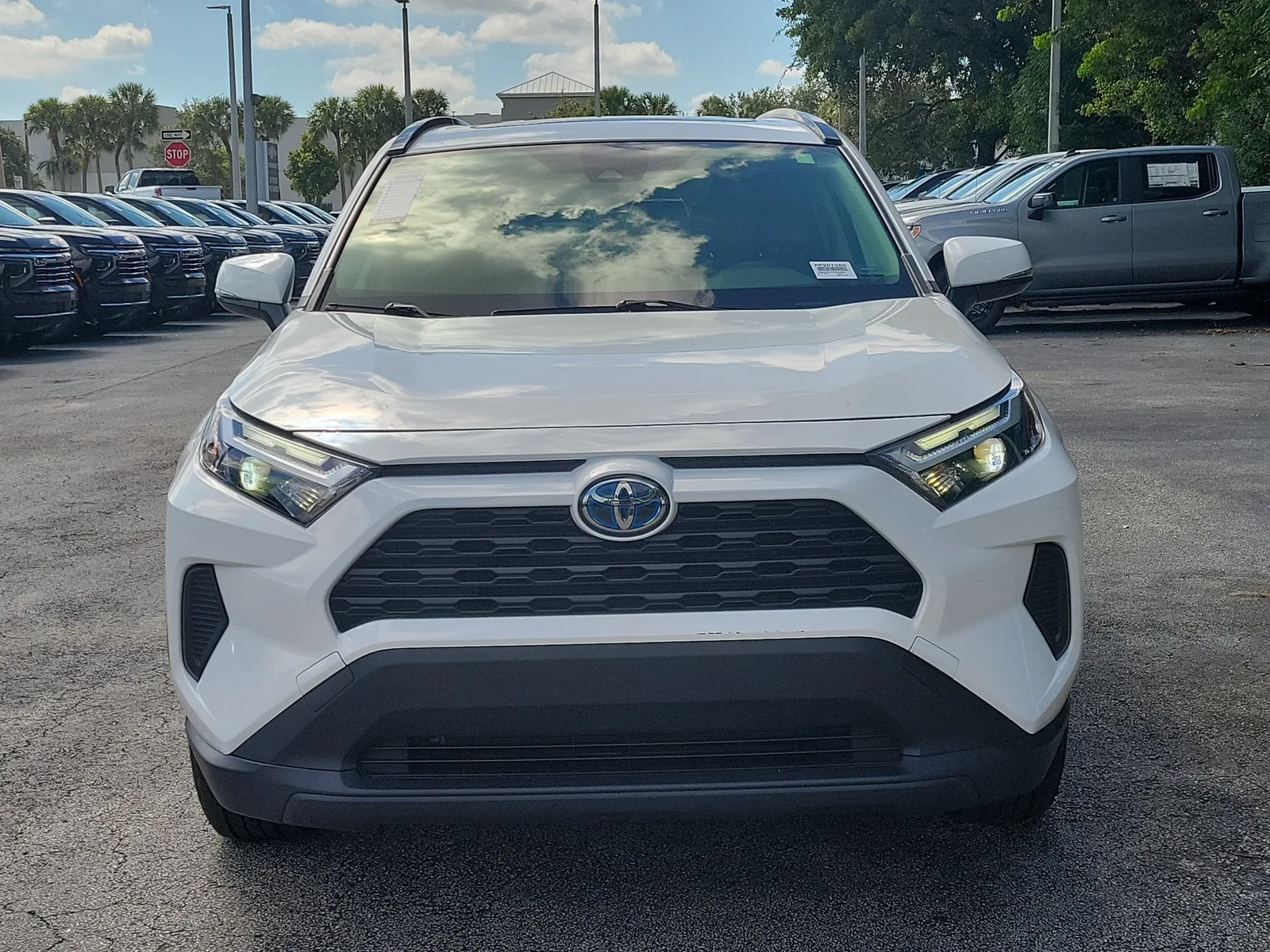 2023 Toyota RAV4 Hybrid XLE photo 8