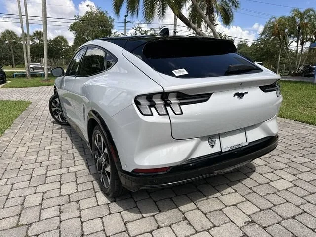 2021 Ford Mustang Mach-E Premium photo 12