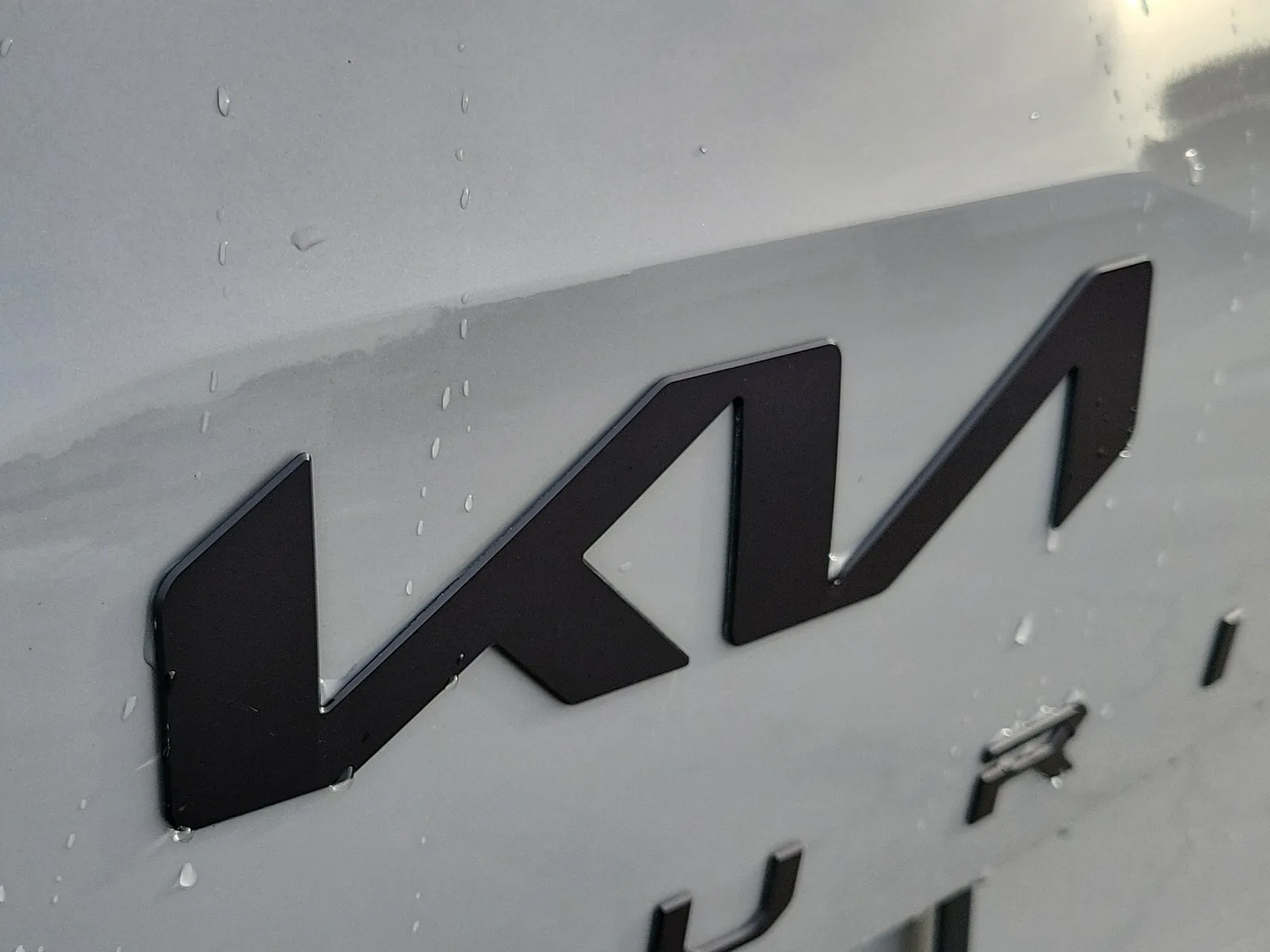 2025 Kia Telluride EX X-Line photo 10
