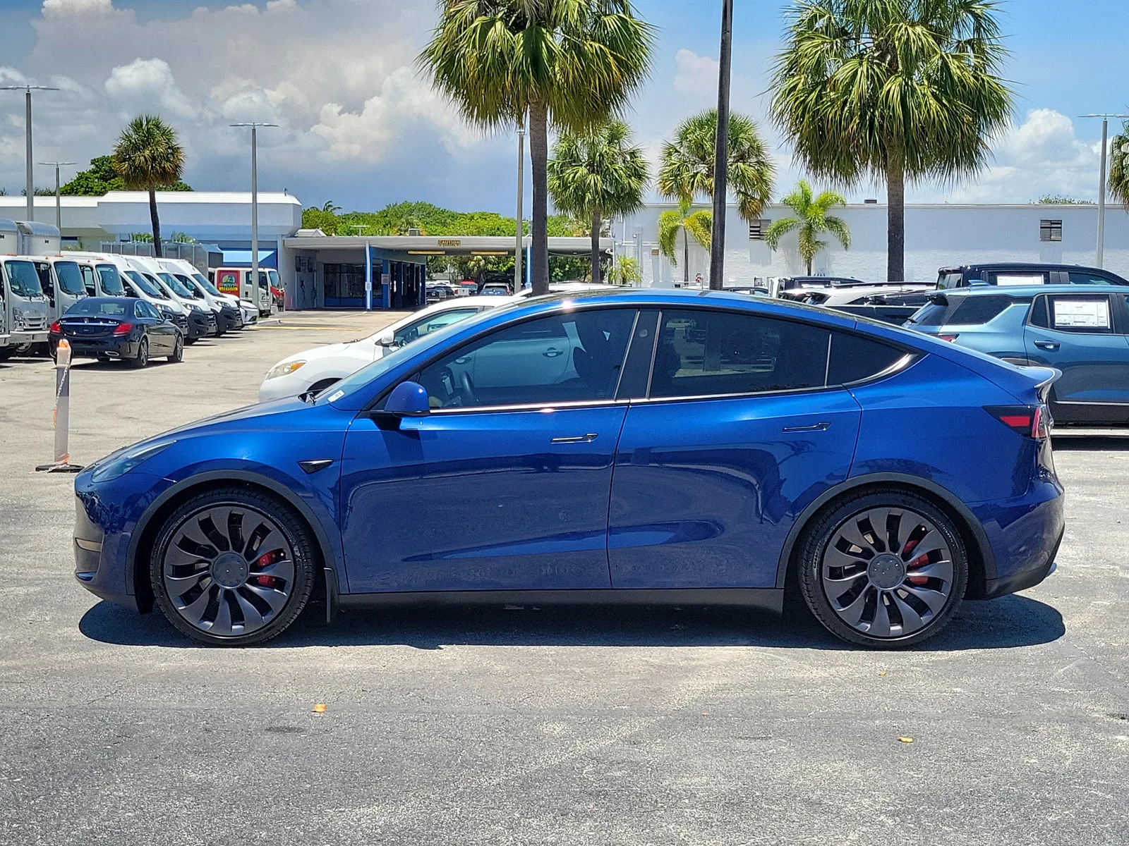2023 Tesla Model Y Performance photo 6