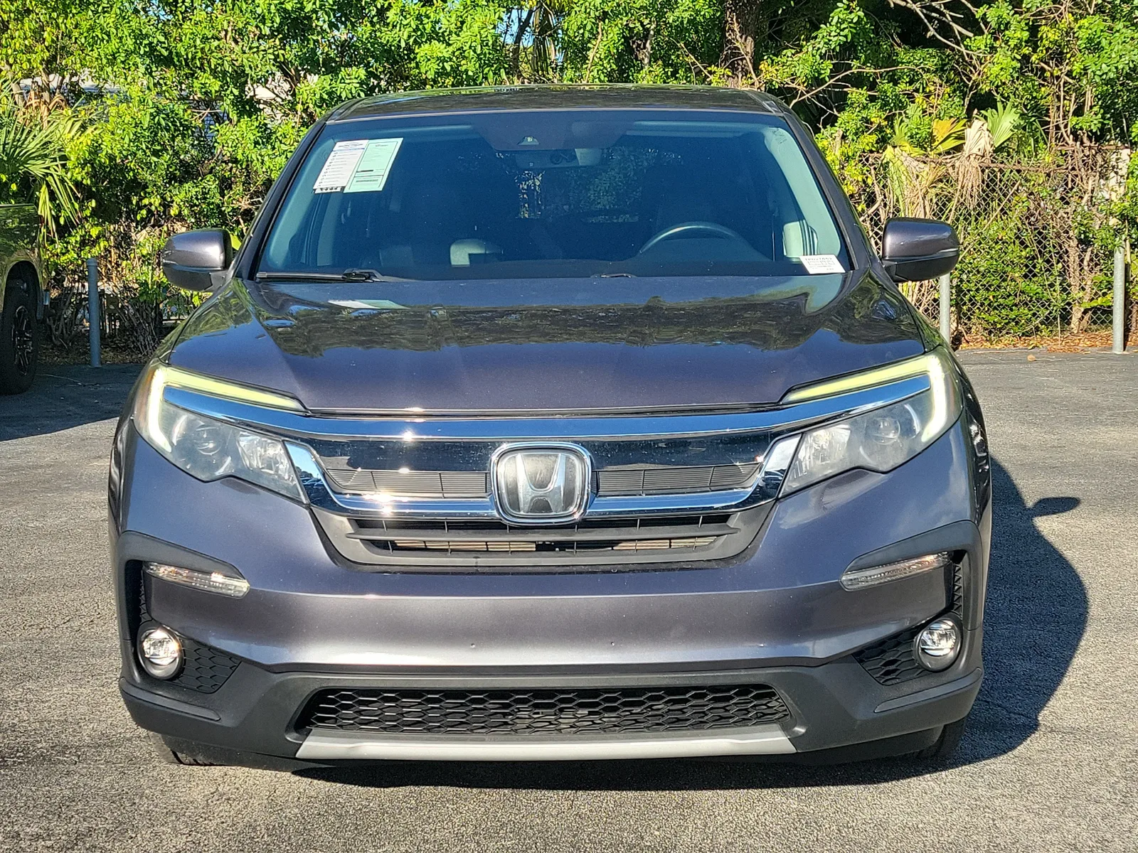 2019 Honda Pilot EX-L photo 8