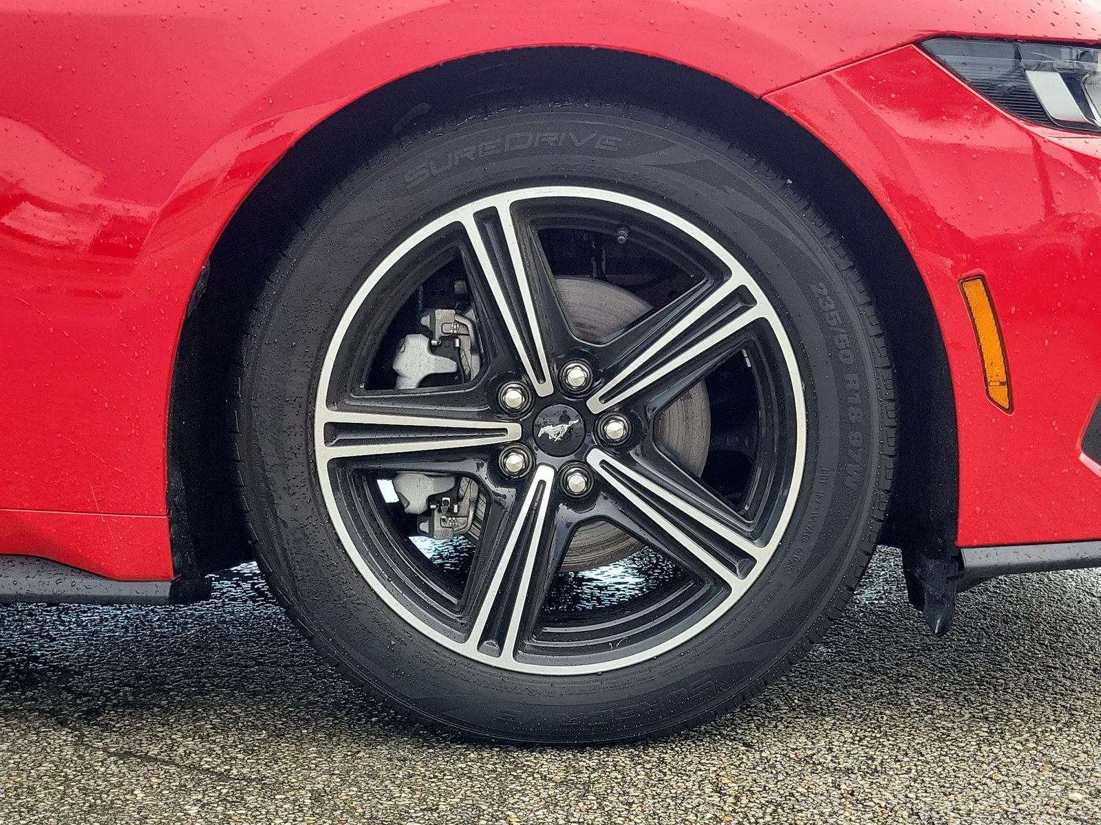 2024 Ford Mustang EcoBoost photo 2