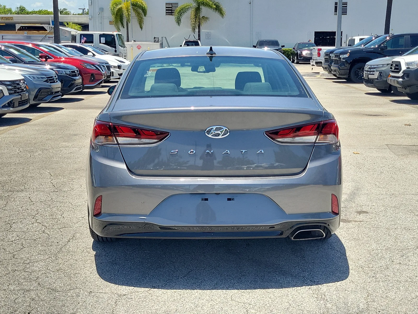 2019 Hyundai Sonata SEL photo 4