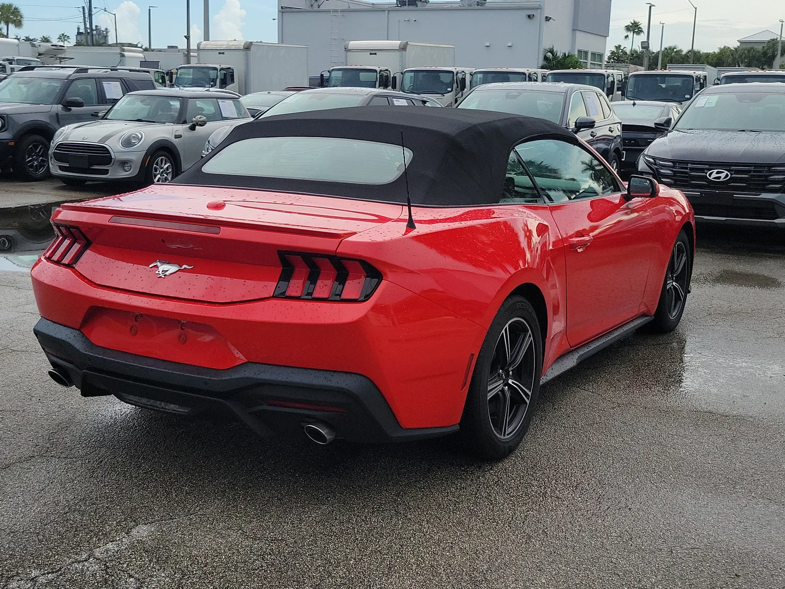 2024 Ford Mustang EcoBoost photo 5