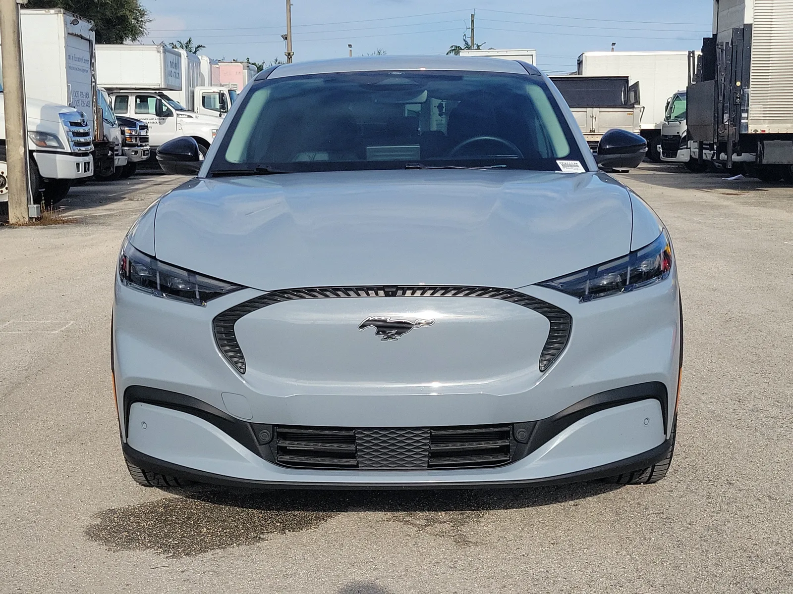 2024 Ford Mustang Mach-E Select photo 8