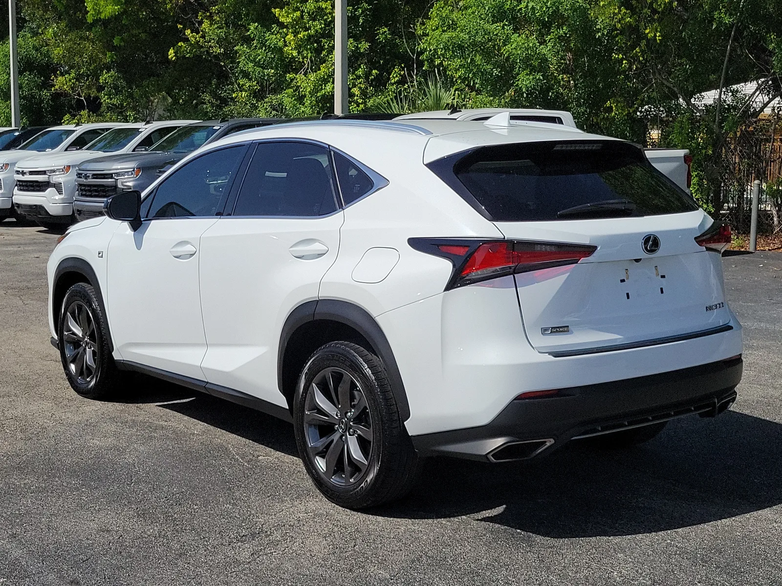 2021 Lexus NX NX 300 F SPORT photo 5