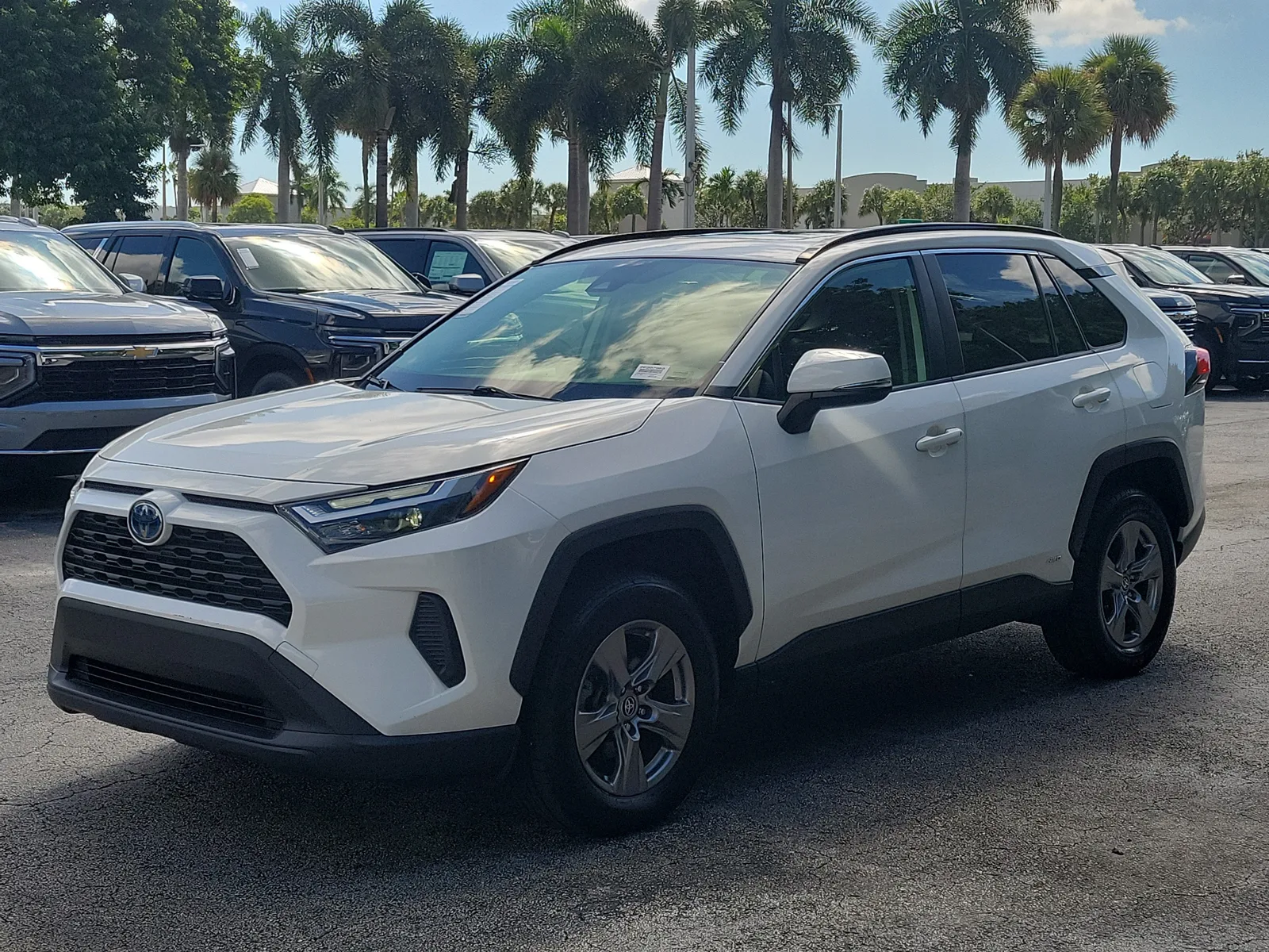 2023 Toyota RAV4 Hybrid XLE photo 7