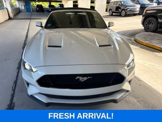 2019 Ford Mustang GT Premium photo 17