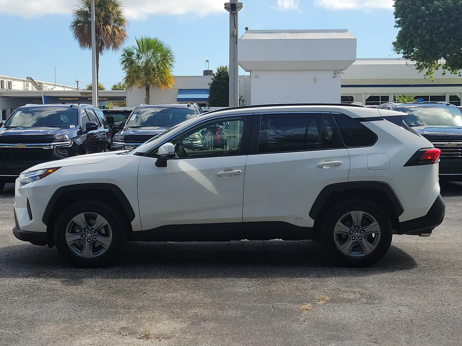 2023 Toyota RAV4 Hybrid XLE photo 6