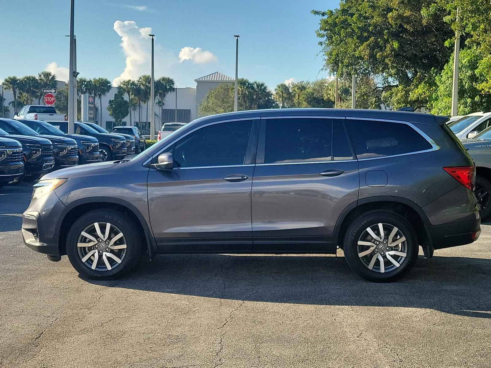 2019 Honda Pilot EX-L photo 6