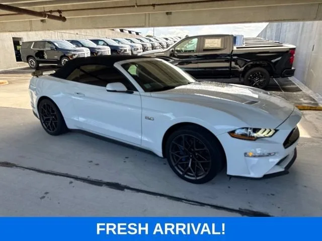 2019 Ford Mustang GT Premium photo 14