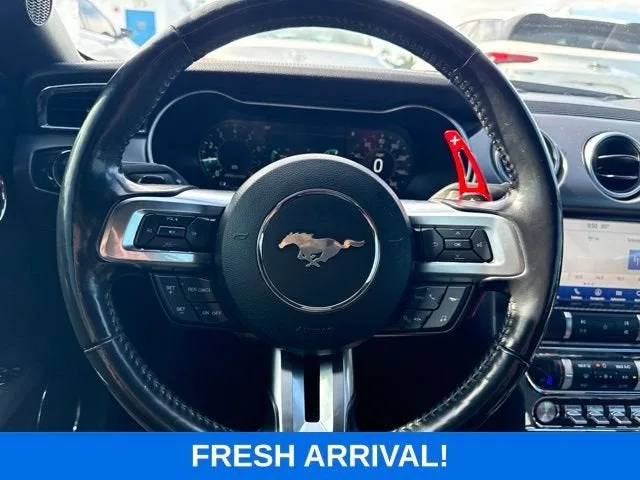 2019 Ford Mustang GT Premium photo 6