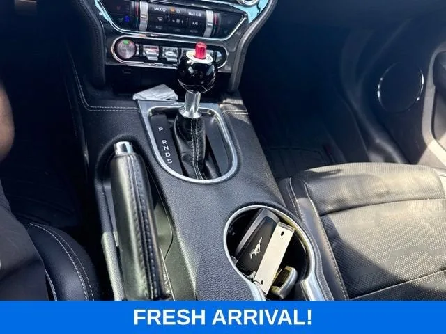 2019 Ford Mustang GT Premium photo 8