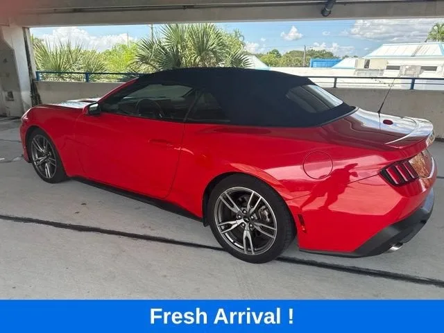 2024 Ford Mustang EcoBoost photo 15