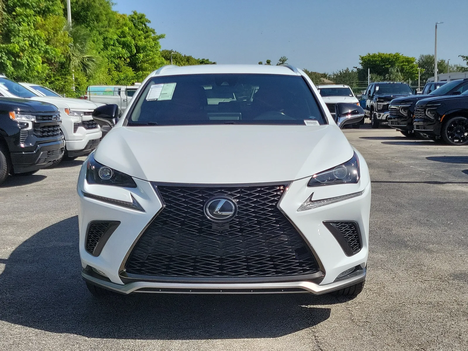2021 Lexus NX NX 300 F SPORT photo 8