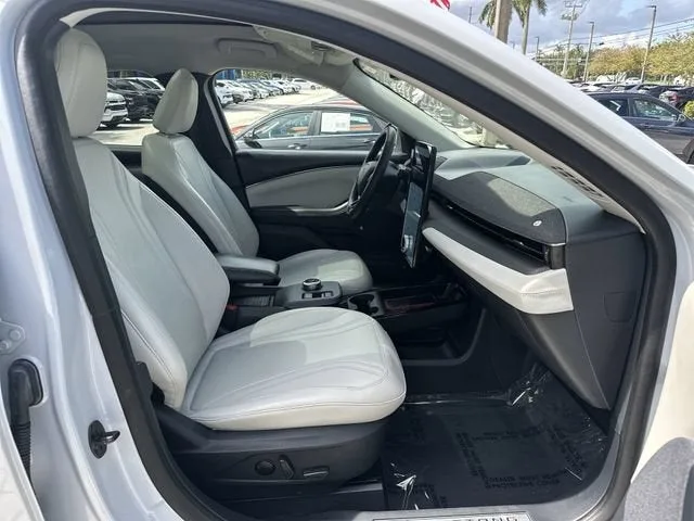 2021 Ford Mustang Mach-E Premium photo 29
