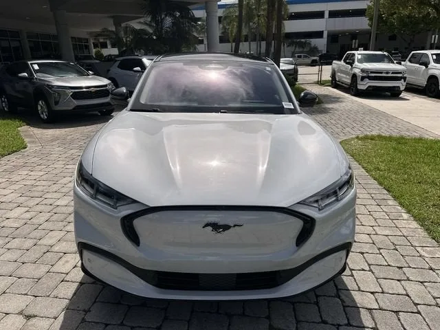 2021 Ford Mustang Mach-E Premium photo 18