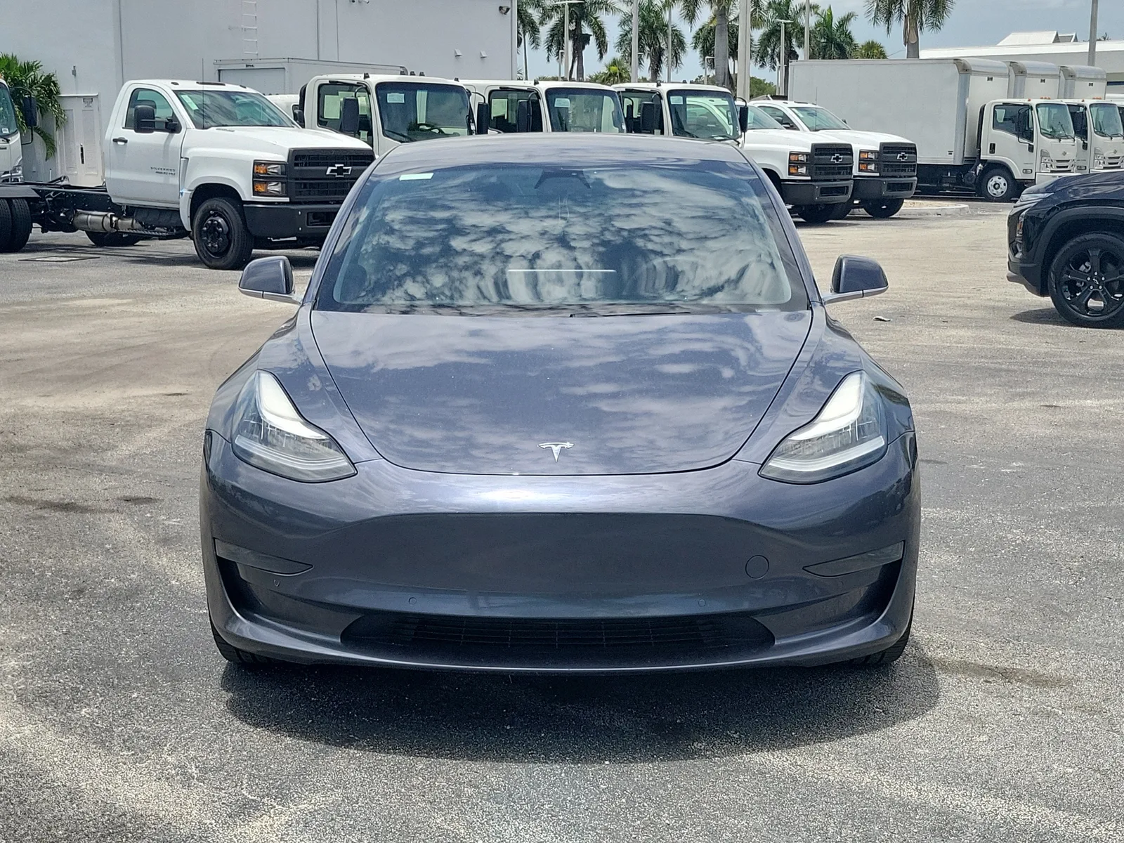 2020 Tesla Model 3 Standard Range Plus photo 8