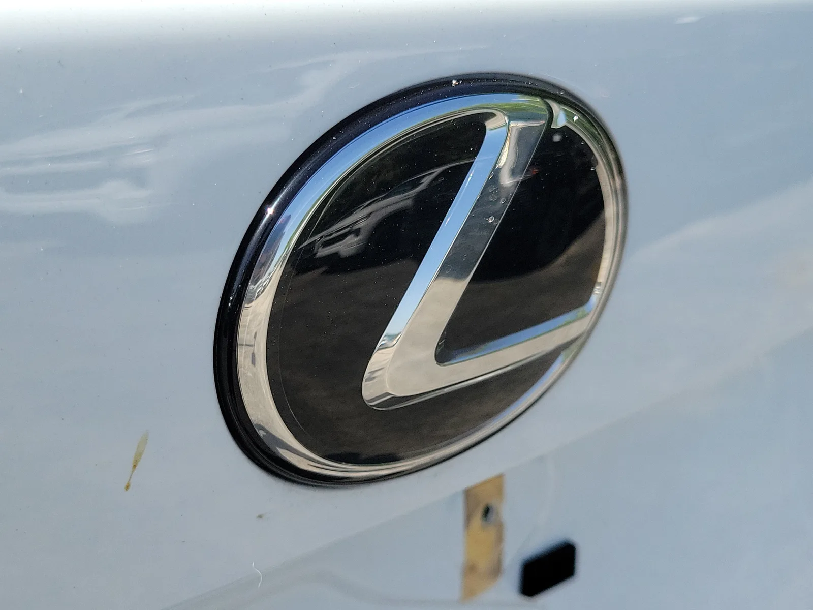 2021 Lexus NX NX 300 F SPORT photo 10