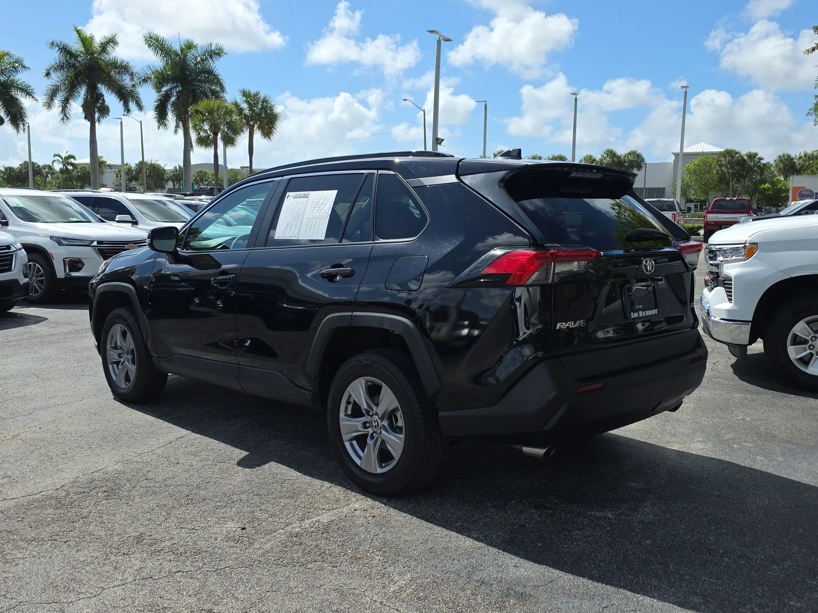 2024 Toyota RAV4 XLE photo 5