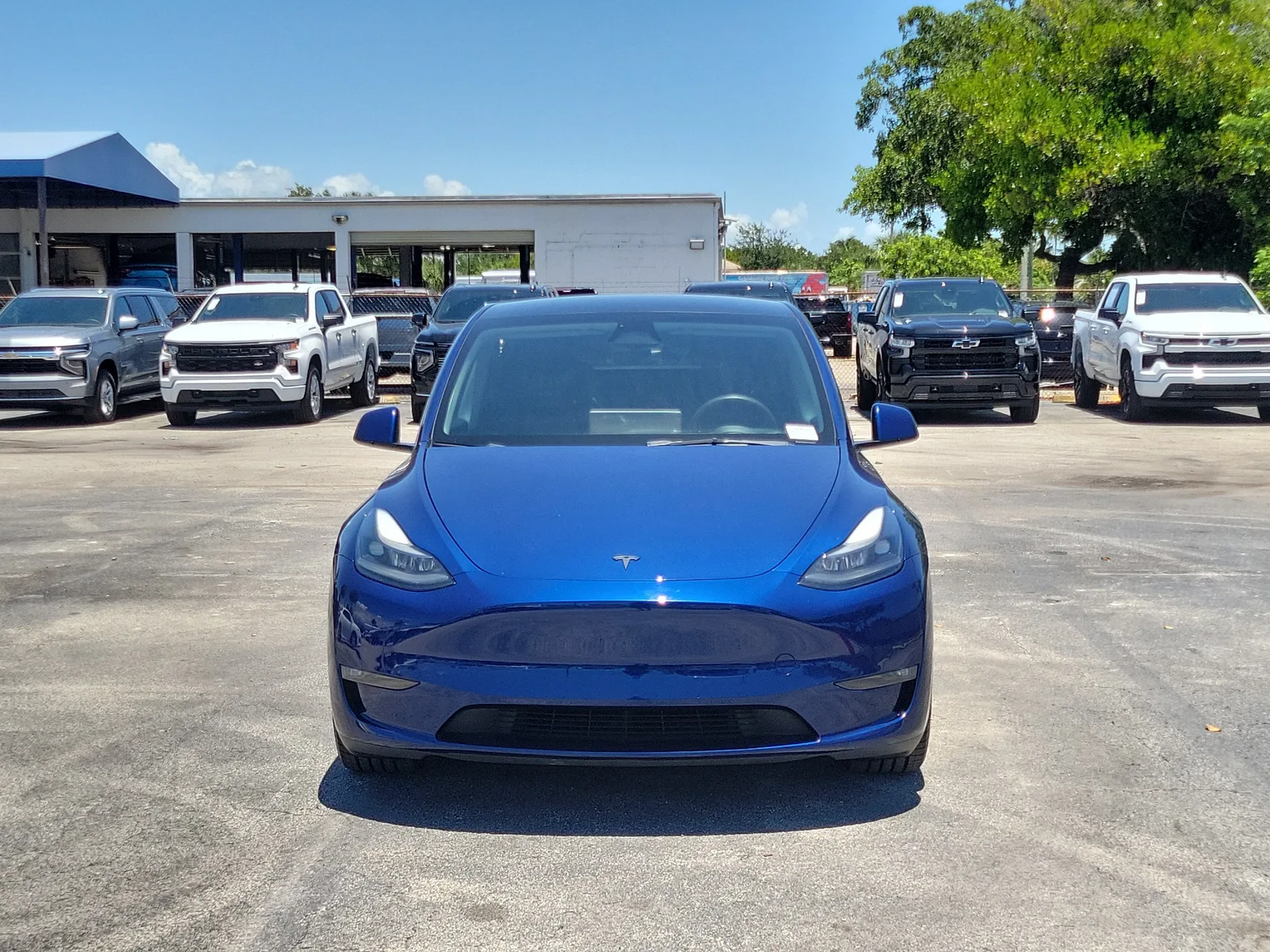 2023 Tesla Model Y Performance photo 8