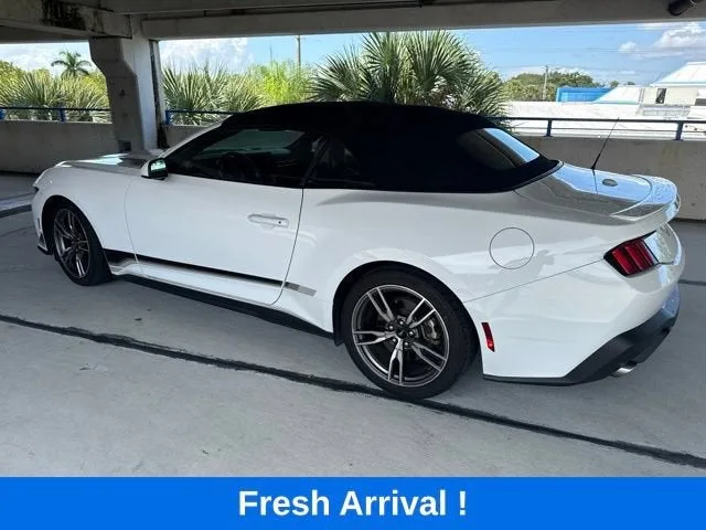 2024 Ford Mustang EcoBoost photo 15