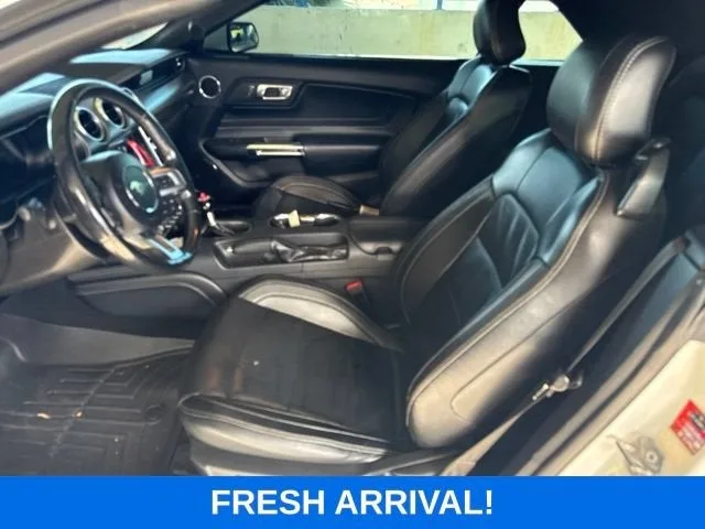 2019 Ford Mustang GT Premium photo 2