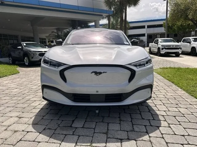 2021 Ford Mustang Mach-E Premium photo 20