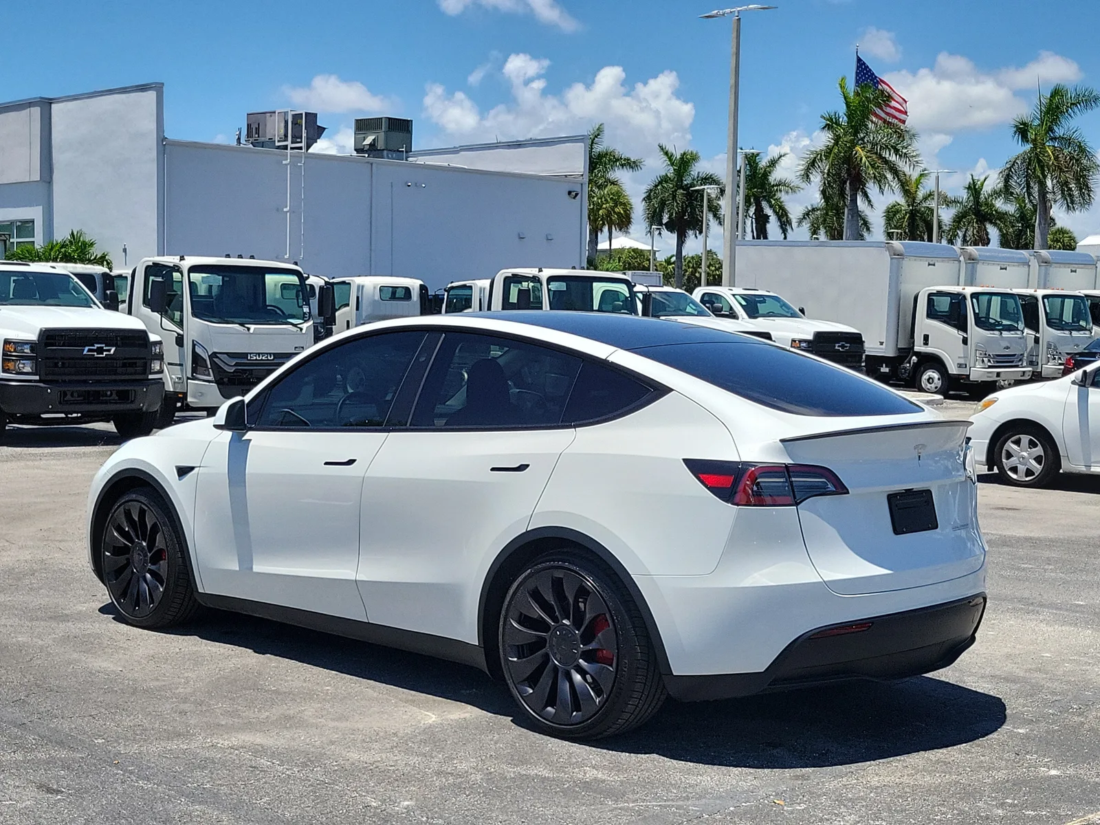 2023 Tesla Model Y Performance photo 5