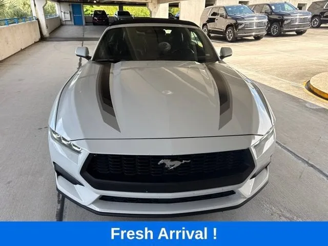 2024 Ford Mustang EcoBoost photo 16
