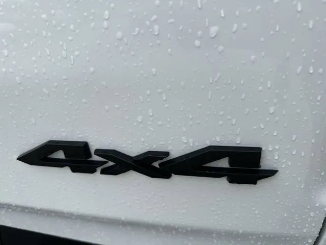 2025 RAM 1500 Rebel photo 35