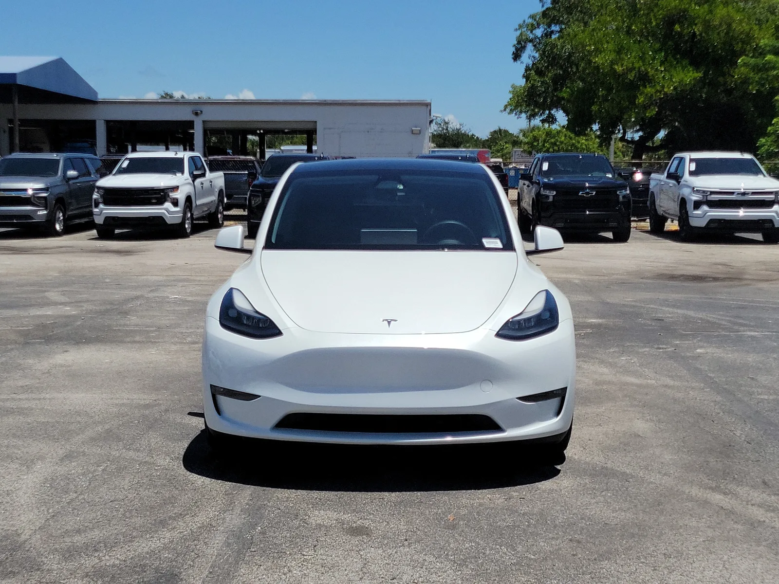 2023 Tesla Model Y Performance photo 8