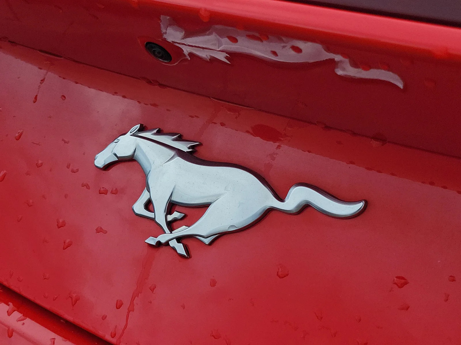 2024 Ford Mustang EcoBoost photo 8