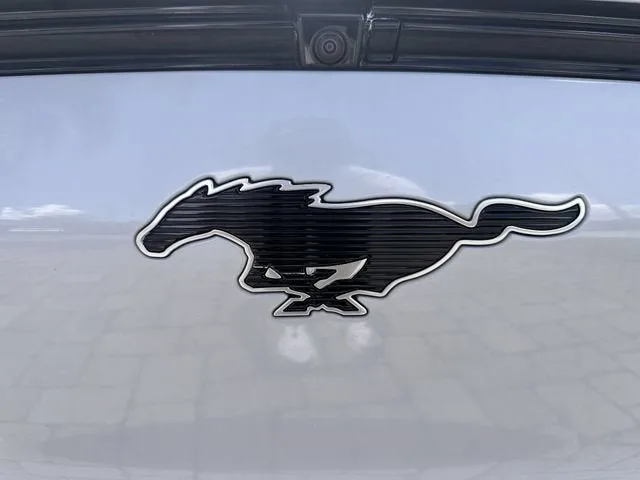 2021 Ford Mustang Mach-E Premium photo 10
