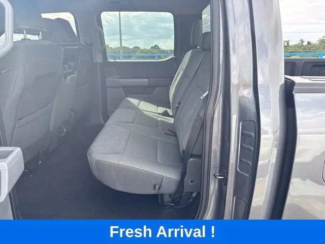 2025 Ford F-150 XLT photo 3