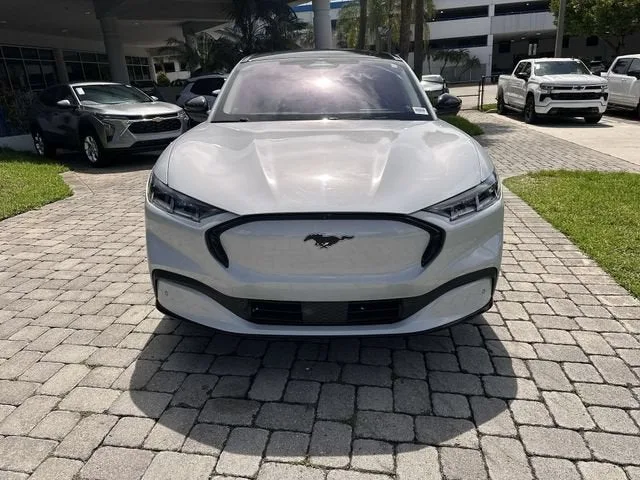 2021 Ford Mustang Mach-E Premium photo 19