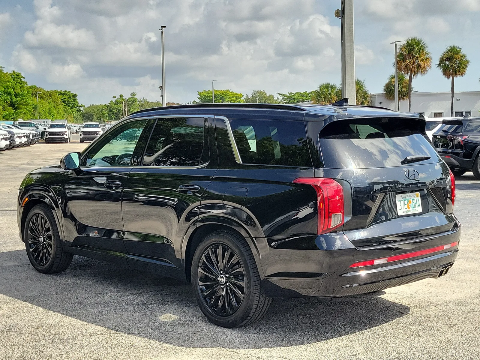 2024 Hyundai Palisade Calligraphy Night Edition photo 5