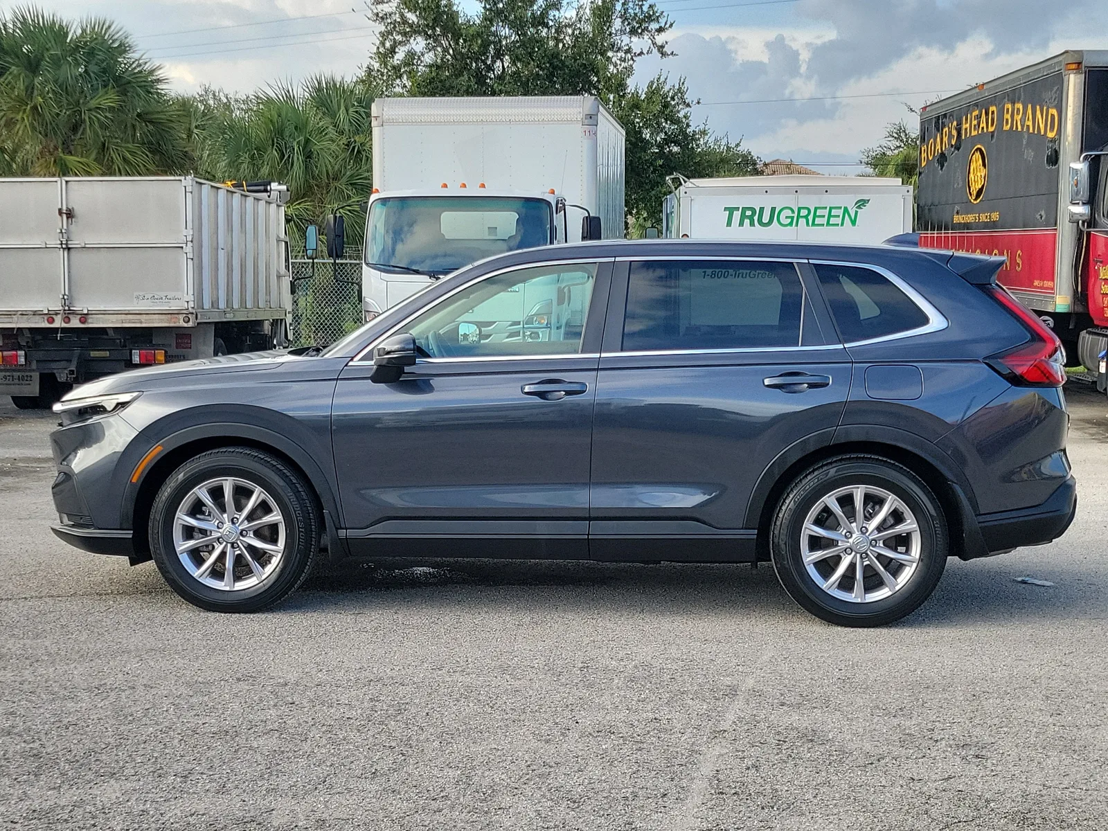 2024 Honda CR-V EX-L photo 6