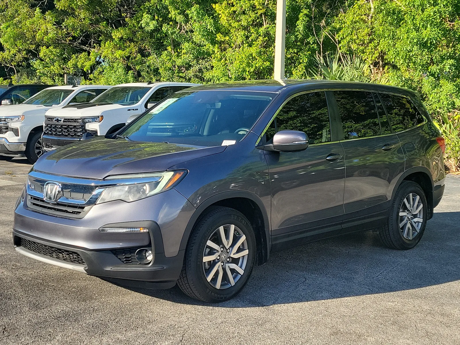 2019 Honda Pilot EX-L photo 7