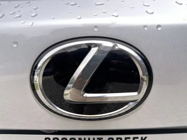 2019 Lexus NX NX 300 photo 10