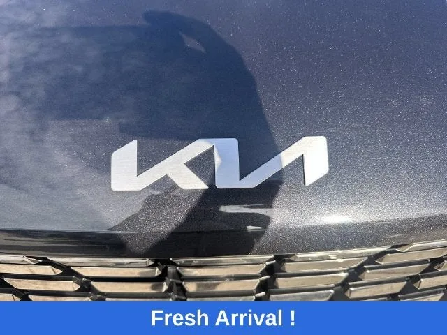 2024 Kia Carnival SX Prestige photo 10