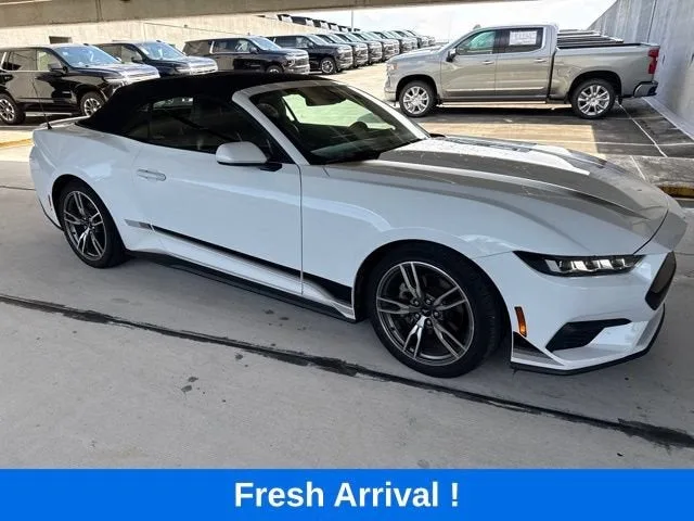 2024 Ford Mustang EcoBoost photo 13