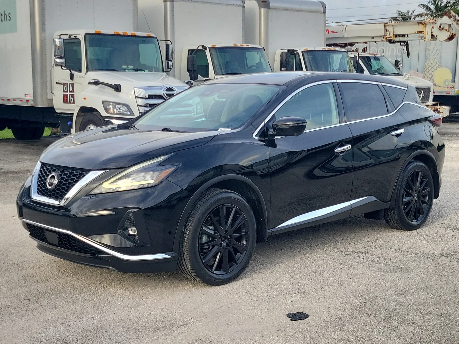 2024 Nissan Murano SL photo 7