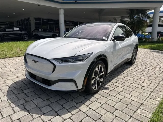 2021 Ford Mustang Mach-E Premium photo 21