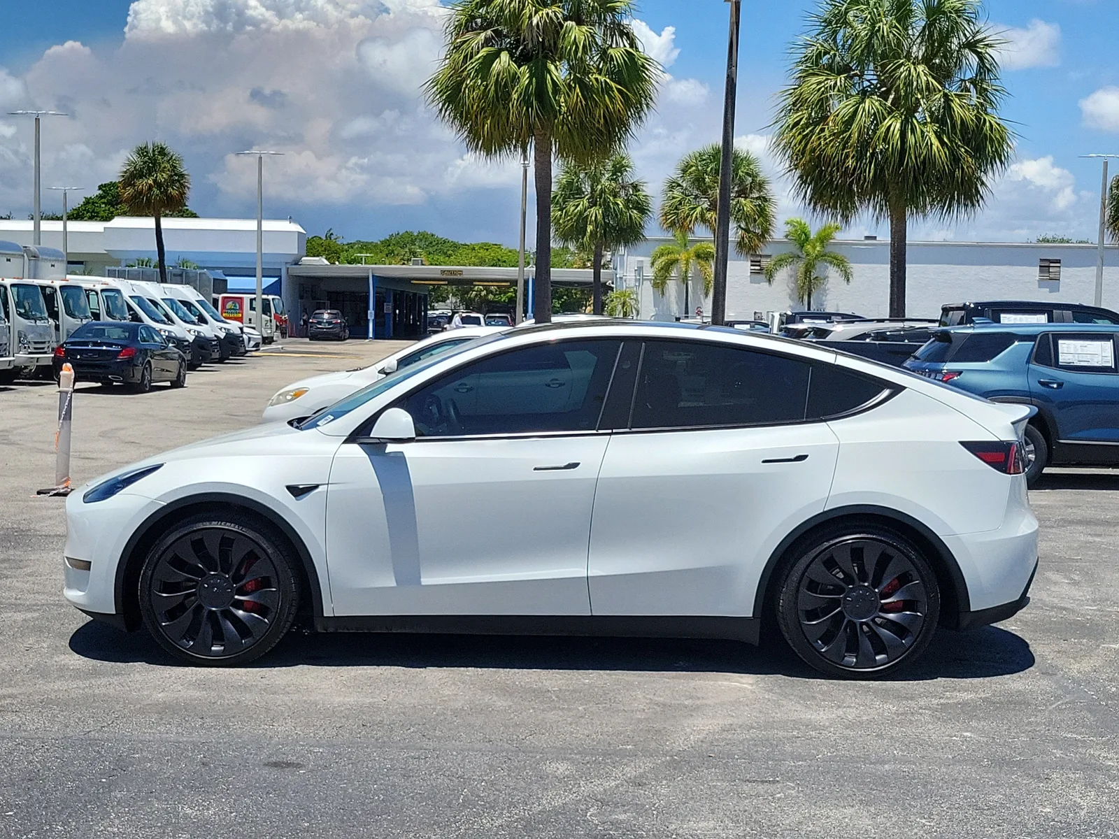 2023 Tesla Model Y Performance photo 6